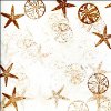 Sandy Beach Card 2