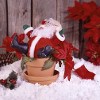 Santa Oops Christmas Decoration