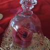 Bread Dough Rose Under Glass