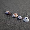 Sea Shell Pets