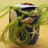 SeaLife Box