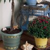 Seashells Pots