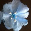 Sheer Spring Flowers