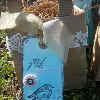 Special Spring Gift Bags