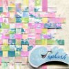 Splash Card
