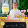 Summer Lemonade Stand