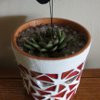 Terra Cotta Flower Pot
