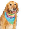 TieDye Pet Bandana