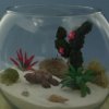 Tropical Terrarium