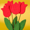 Tulip Bouquet