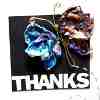 Butterfly Tyvek Card