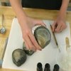 HowTo Make Soap Videos Clam Shell Soap
