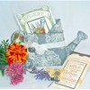Watering Can Seed Holder