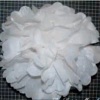 Whimsical Tissue Poms