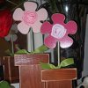 Wooden Spring Flower Pots