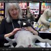 Active Celluclay Instant Papier Mache Demonstration