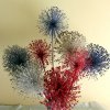 Allium Fireworks Display