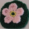 Anemone Flower