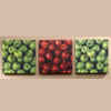 green apple wall art