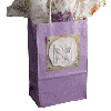 Spring Gift Bag