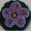 Balloon Flower