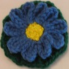 Blue Daisy Flower