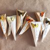 Butterfly Wedding Cones