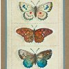 Butterfly Trio