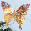 Butterfly Garden Stake