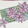Poinsettia Holiday Card