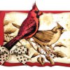 Two Winter Cardinals