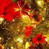Christmas Lights