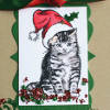 Christmas Kitten Card