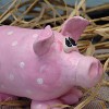 Adorable Clay Pig