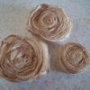 Coffee Stained Roses
