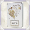 Confetti Box  Shaker Card