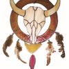 Cow Skull Medicine Wheel