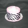 Cute Cupcake Diaper