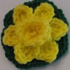 Daffodil Flower