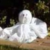 Lifesize Lawn Ghosts