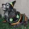 8 Pet Halloween Costumes