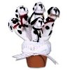 Dog Glove Pet