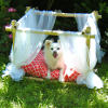 Doggy Bamboo Bed