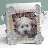 Little Girls Pet Purse