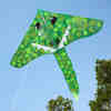 dragon kite