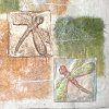 Dragonfly Journal
