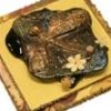 Dragonfly Garden Stone