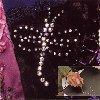 Crystal Dragonfly Embellishment