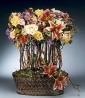 ever blooming topiary