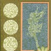 Fairy Card